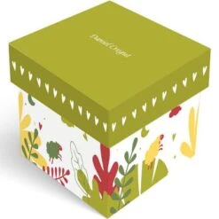 Tirelire Tracteur Personnalisable (métal Argenté) -Bébé Rêves Promos Magasin 5Bdaniel cregut5D ecrin tirelire 1