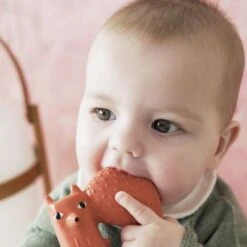 Anneau De Dentition Cyril L'écureuil X Donna Wilson -Bébé Rêves Promos Magasin anneau de dentition cyril l ecureuil x donna wilson 4