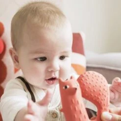 Anneau De Dentition Cyril L'écureuil X Donna Wilson -Bébé Rêves Promos Magasin anneau de dentition cyril l ecureuil x donna wilson 5