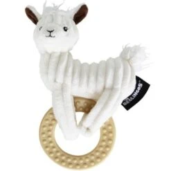 Anneau De Dentition Muchachos Le Lama
