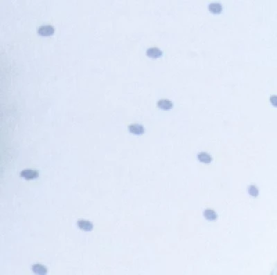 Candide Cale Bébé Panda Pad Premium 5 Candide Cale Bébé Panda Pad Premium – Image 5