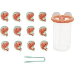 Janod Jouet De Bain Attrape Crevettes à Ventouse -Bébé Rêves Promos Magasin jouet de bain attrape crevettes a ventouse 5