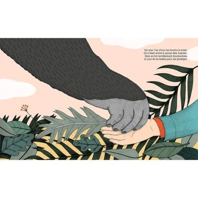 Livre Dian Fossey 2 Livre Dian Fossey – Image 2