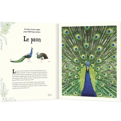 Livre L'anthologie Illustrée Des Animaux Fascinants 2 Livre L'anthologie Illustrée Des Animaux Fascinants – Image 2