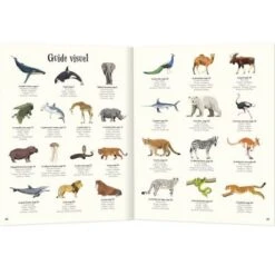 Livre L'anthologie Illustrée Des Animaux Fascinants 9 Livre L'anthologie Illustrée Des Animaux Fascinants -Bébé Rêves Promos Magasin livre l anthologie illustree des animaux fascinants 5