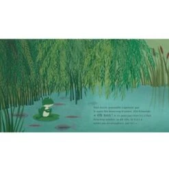 Livre L'été De Petite Grenouille 8 Livre L'été De Petite Grenouille -Bébé Rêves Promos Magasin livre l ete de petite grenouille 4