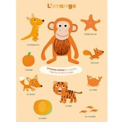 Livre Mes Premières Couleurs à Toucher 7 Livre Mes Premières Couleurs à Toucher -Bébé Rêves Promos Magasin livre mes premieres couleurs a toucher 4