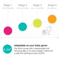 Lot De 3 Disques De Remplacement Pour Trimö étape 4 (12 Mois Et +) -Bébé Rêves Promos Magasin lot de 3 disques de remplacement pour trimo etape 4 12 mois et 4