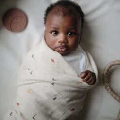 Mushie Maxi Lange En Coton Bio Dinosaure (120 X 120 Cm) -Bébé Rêves Promos Magasin maxi lange en coton bio dinosaure 120 x 120 cm 3