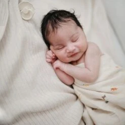 Mushie Maxi Lange En Coton Bio Dinosaure (120 X 120 Cm) -Bébé Rêves Promos Magasin maxi lange en coton bio dinosaure 120 x 120 cm 4