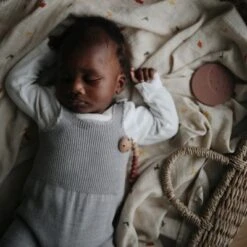 Mushie Maxi Lange En Coton Bio Dinosaure (120 X 120 Cm) -Bébé Rêves Promos Magasin maxi lange en coton bio dinosaure 120 x 120 cm 7