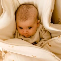 Nid D'ange Passe Sangle Groupe 0+ Safari (100 Cm) -Bébé Rêves Promos Magasin nid d ange passe sangle groupe 0 safari 100 cm 3