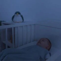 ZAZU Projecteur D'ambiance Shally L'oiseau 13 ZAZU Projecteur D'ambiance Shally L'oiseau -Bébé Rêves Promos Magasin projecteur d ambiance shally l oiseau 6