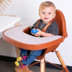 Childhome Tablette De Repas Amovible + Protection Pour Chaise Haute Evolu 2 Ou Evolu One.80° Rouille + Nappero -Bébé Rêves Promos Magasin tablette de repas amovible protection pour chaise haute evolu 2 ou evolu one 80 rouille nappero 4